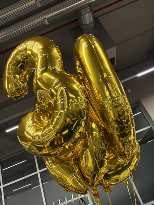 Z30JahrePID-Ballons